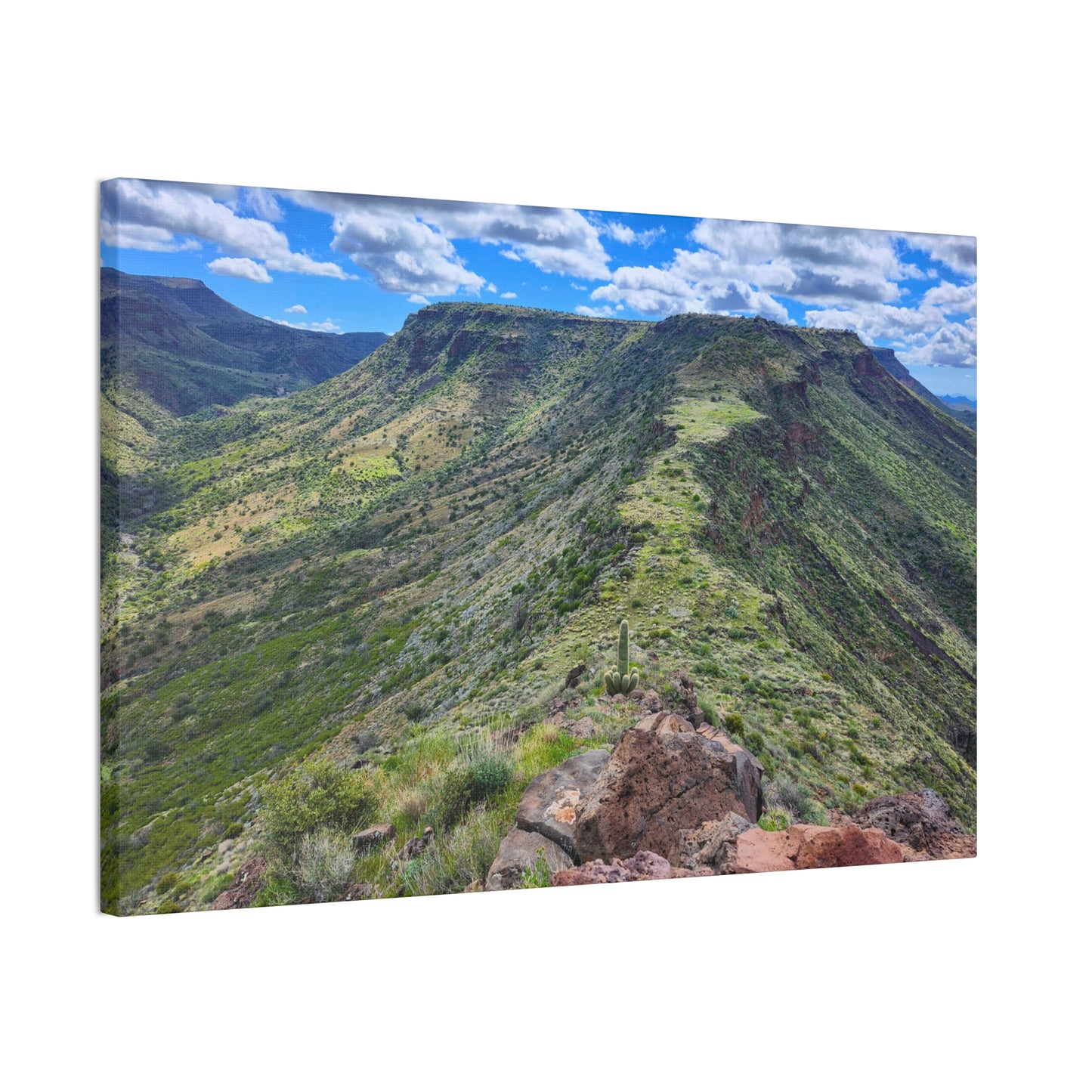 Looking Back at Skull Mesa; Arizona Photography, Wall Art, Natural Landscape Home Decor for Hikers and Nature Lovers!