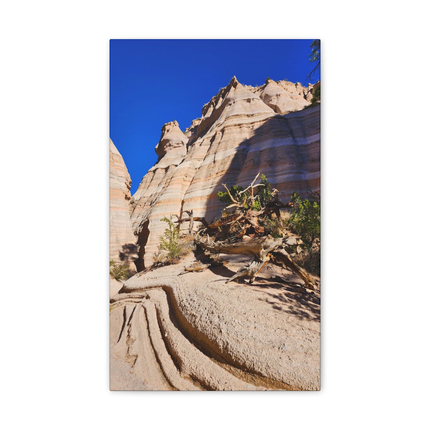 Slot Canyon Through Tent Rocks National Park: Canvas Print