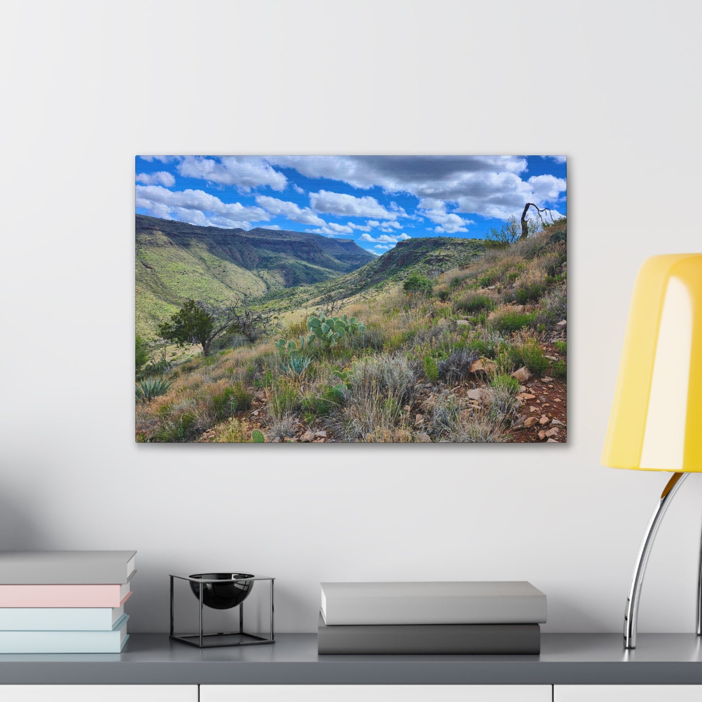 From a Spit off Skull Mesa; Arizona Photography, Wall Art, Natural Landscape Home Decor for Hikers and Nature Lovers!