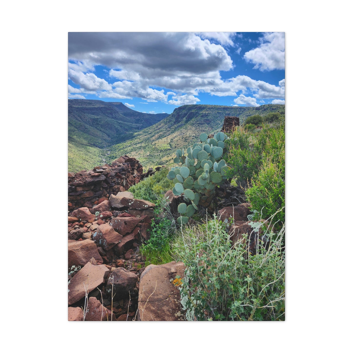 The Ruins of Skull Mesa (#7); Arizona Photography, Wall Art, Natural Landscape Home Decor for Hikers and Nature Lovers!