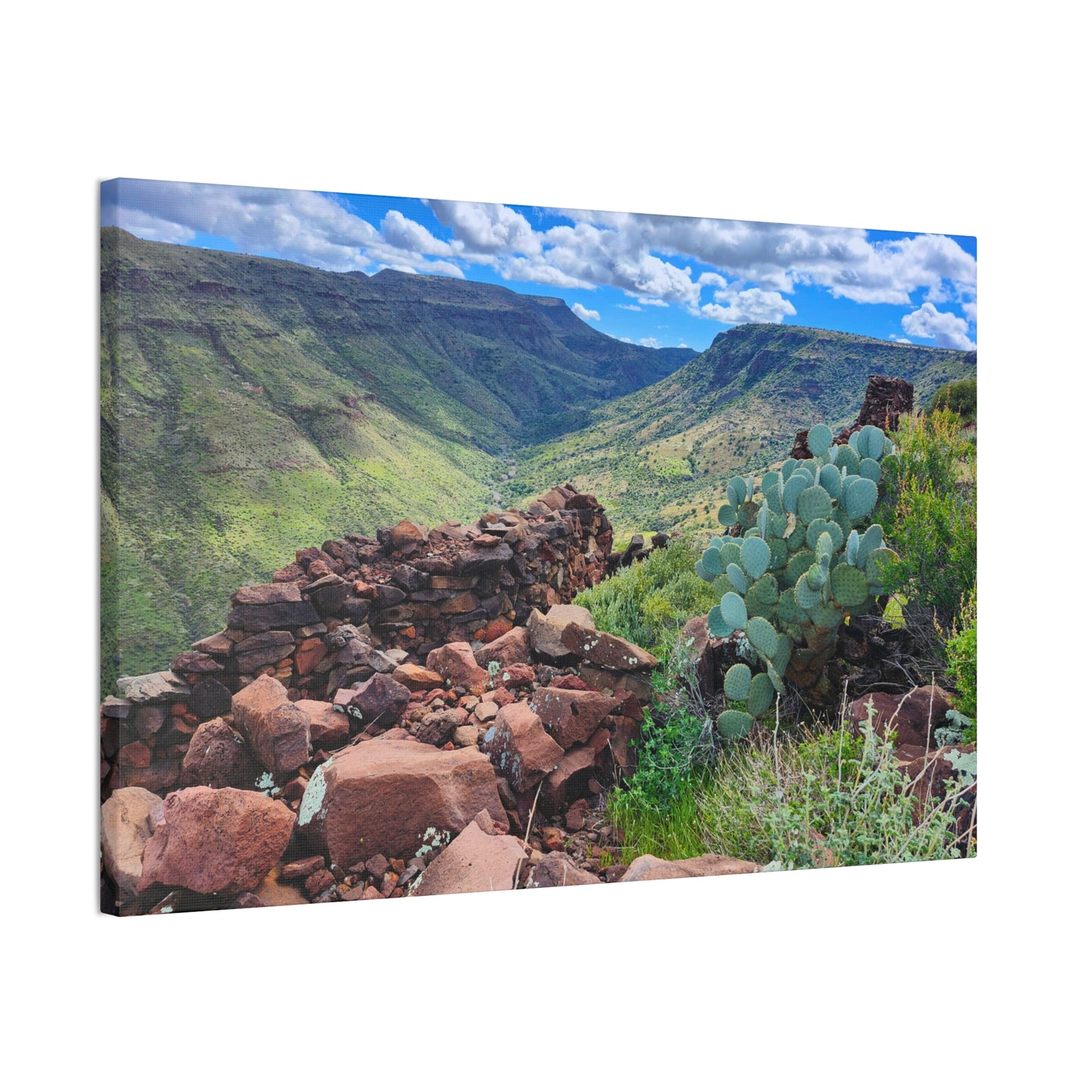 The Ruins of Skull Mesa (#3); Arizona Photography, Wall Art, Natural Landscape Home Decor for Hikers and Nature Lovers!