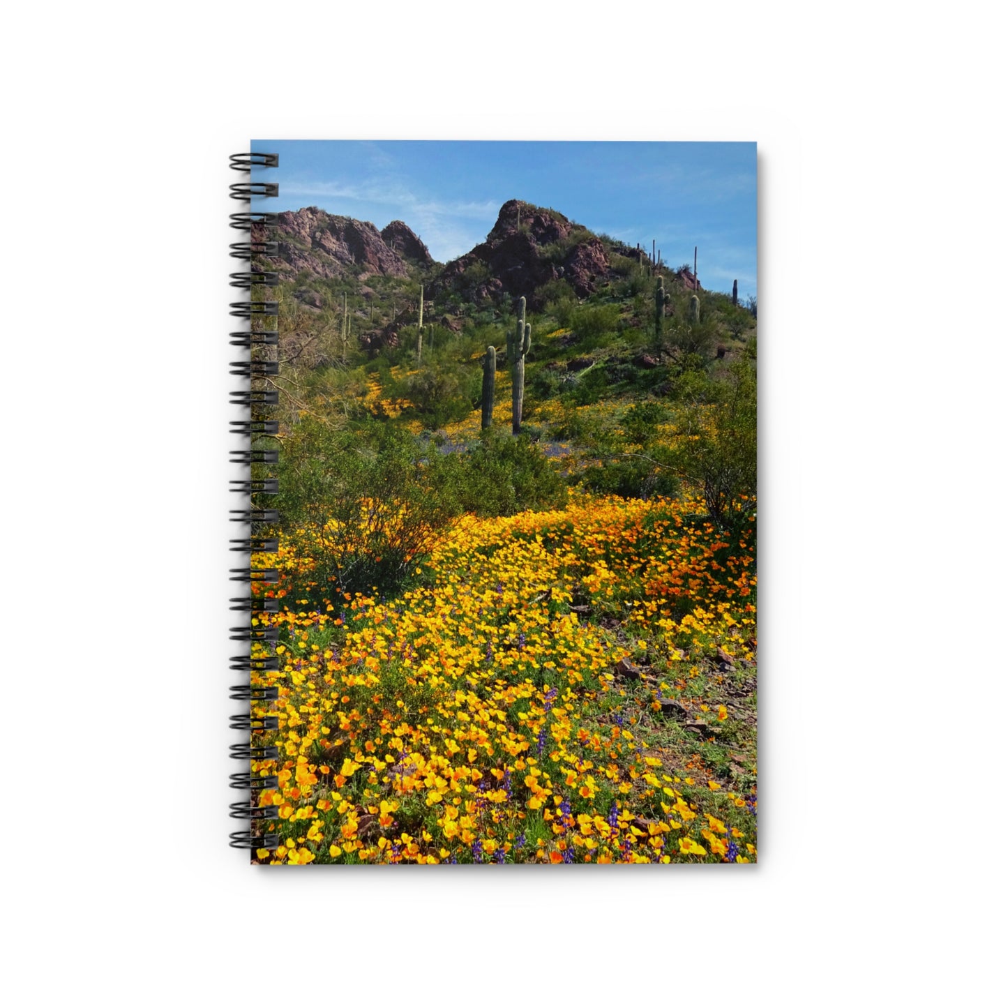 Spiral Notebook: Desert Wildflowers of Arizona, a writing journal to log your travels and adventures, for Hikers and Nature Lovers!
