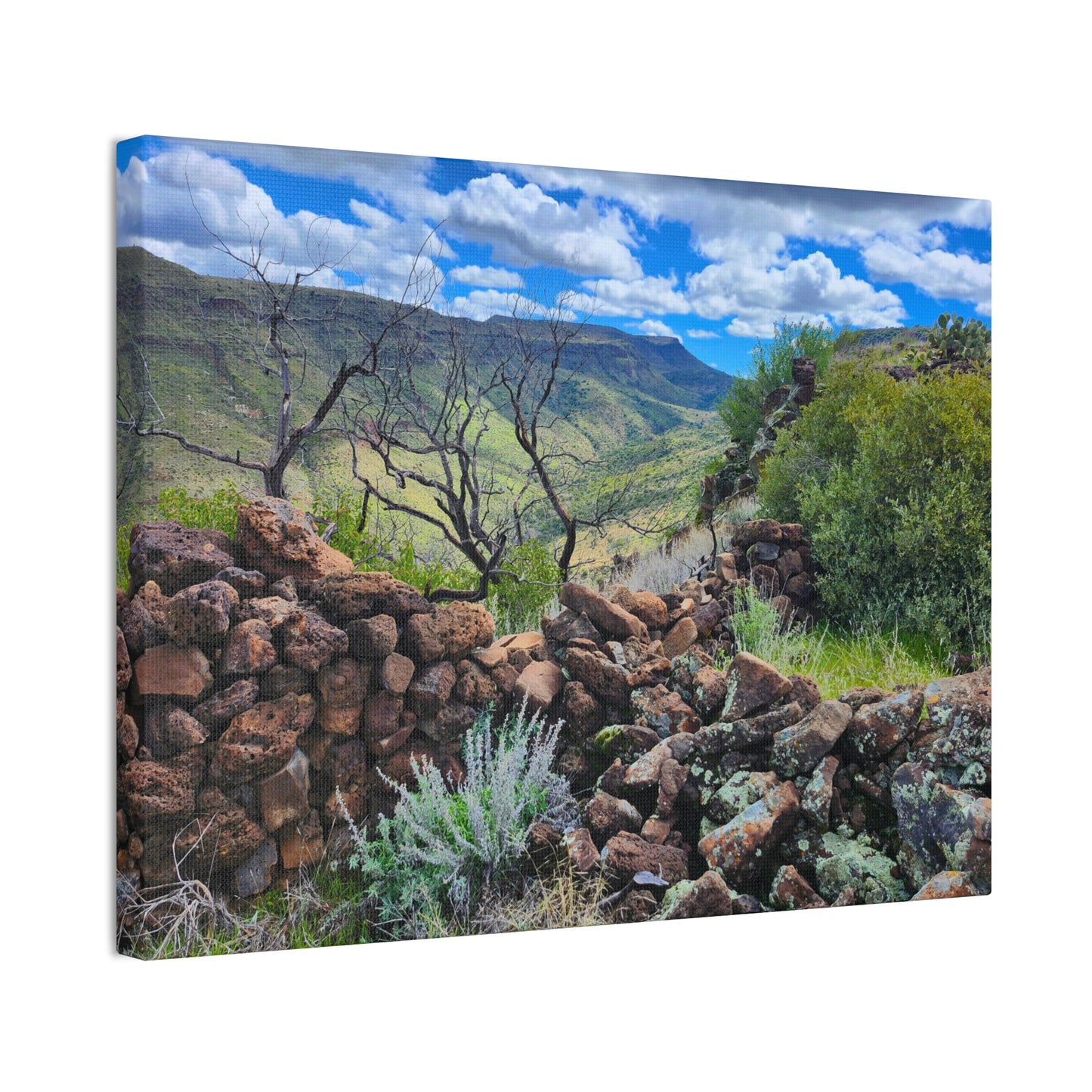 The Ruins of Skull Mesa (#5); Arizona Photography, Wall Art, Natural Landscape Home Decor for Hikers and Nature Lovers!