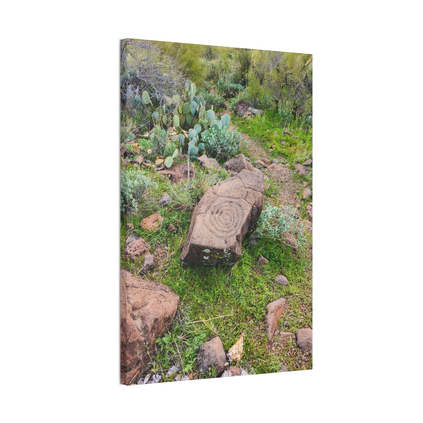Petroglyphs of the Sonoran Desert; Arizona Photography, Wall Art, Natural Landscape Home Decor for Hikers and Nature Lovers!