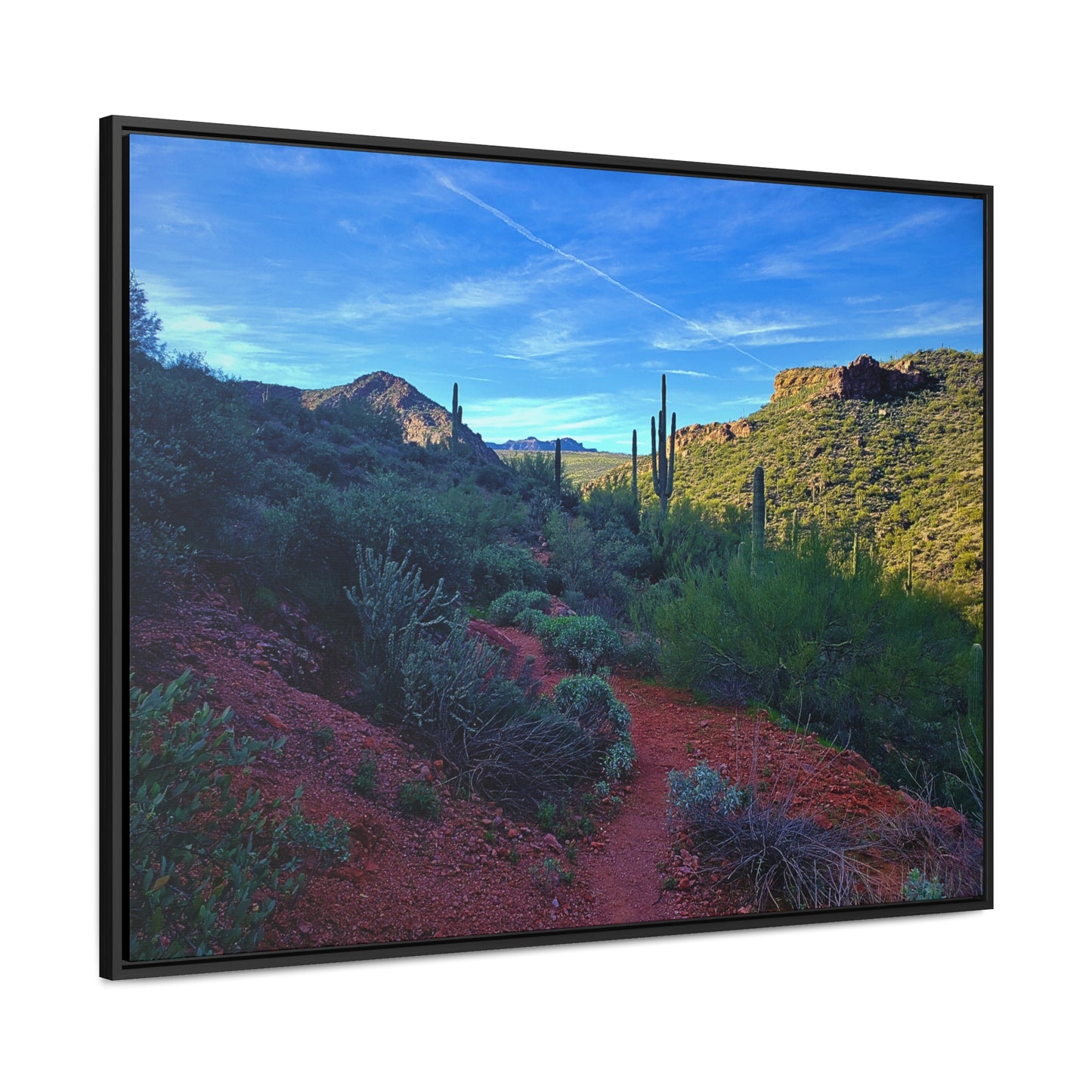 Framed Canvas Gallery Wraps: The Vibrant Desert; Arizona Photography, Wall Art, Natural Landscape Home Decor for Hikers and Nature Lovers!