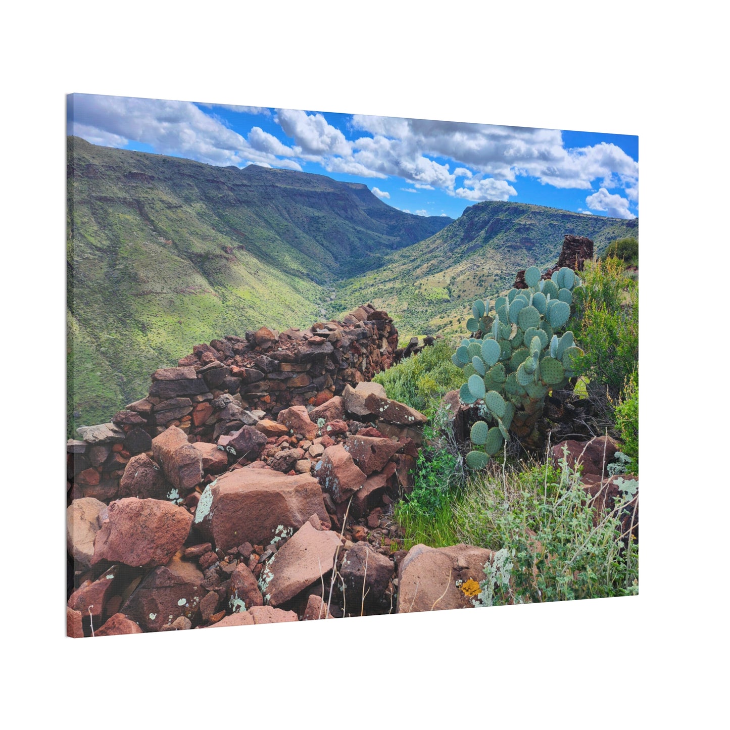 The Ruins of Skull Mesa (#3); Arizona Photography, Wall Art, Natural Landscape Home Decor for Hikers and Nature Lovers!