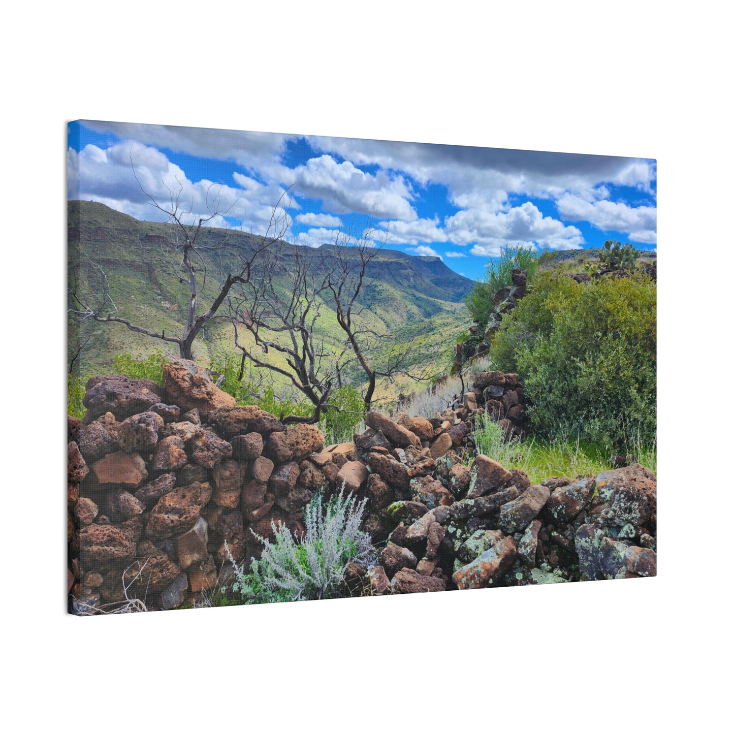 The Ruins of Skull Mesa (#5); Arizona Photography, Wall Art, Natural Landscape Home Decor for Hikers and Nature Lovers!