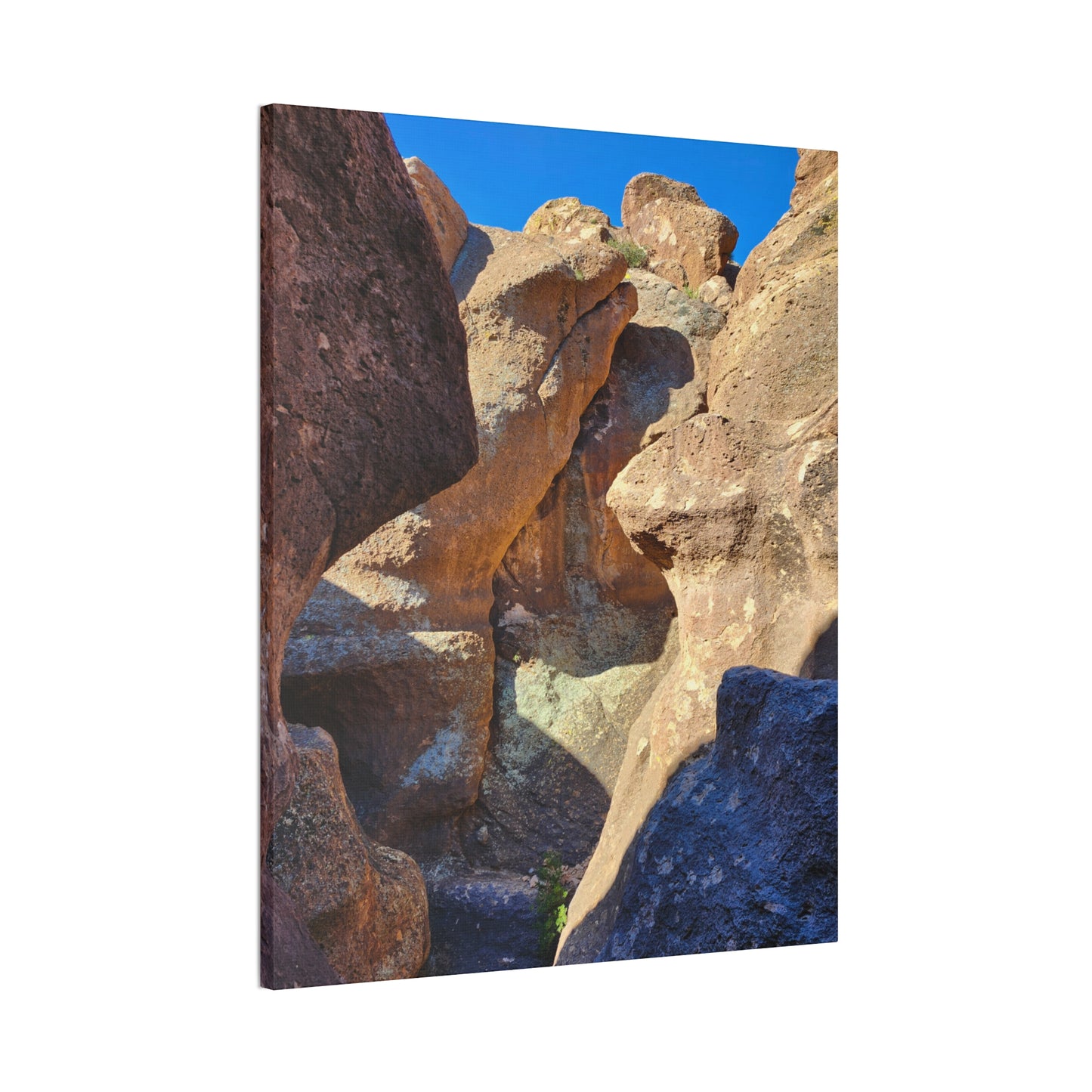 Dinosaurs in Stone; Arizona Photography, Wall Art, Natural Landscape Home Decor for Hikers and Nature Lovers!