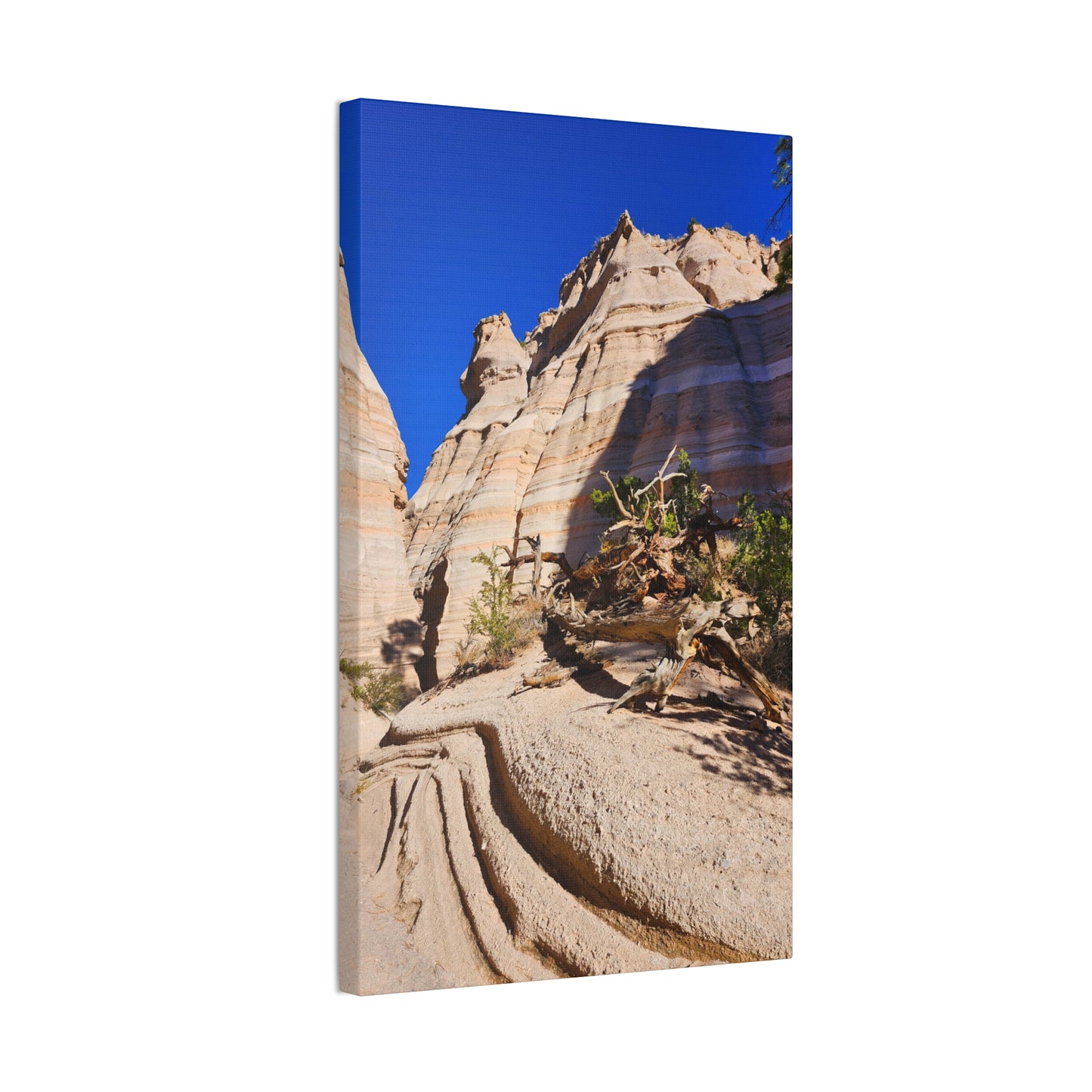 Slot Canyon Through Tent Rocks National Park: Canvas Print
