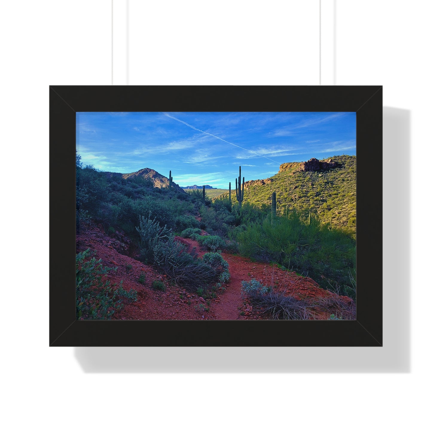 Framed Desert Photography: The Vibrant Desert; Arizona Photography, Wall Art, Natural Landscape Home Decor for Hikers and Nature Lovers!