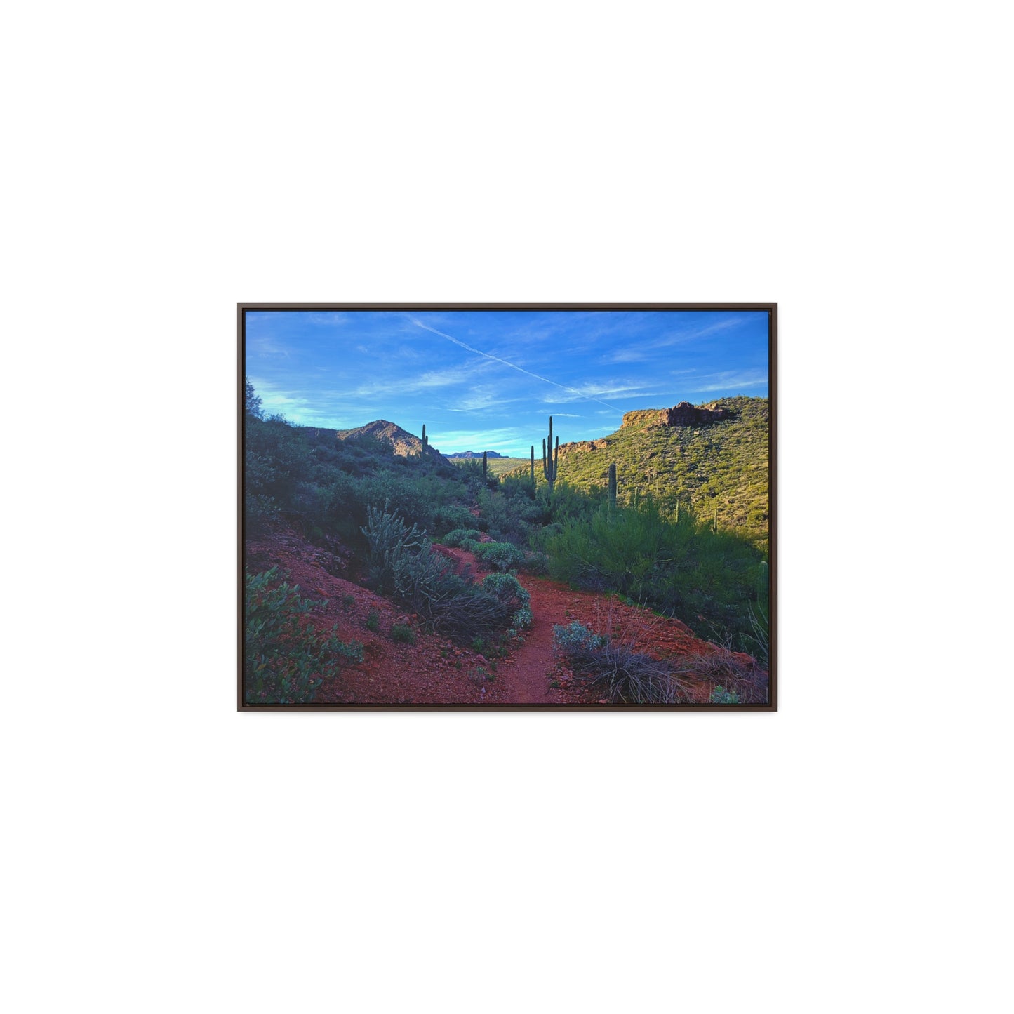 Framed Canvas Gallery Wraps: The Vibrant Desert; Arizona Photography, Wall Art, Natural Landscape Home Decor for Hikers and Nature Lovers!