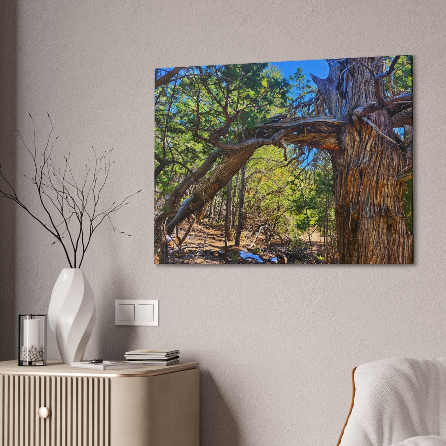 Wisdom: New Mexican Juniper (Canvas Print)