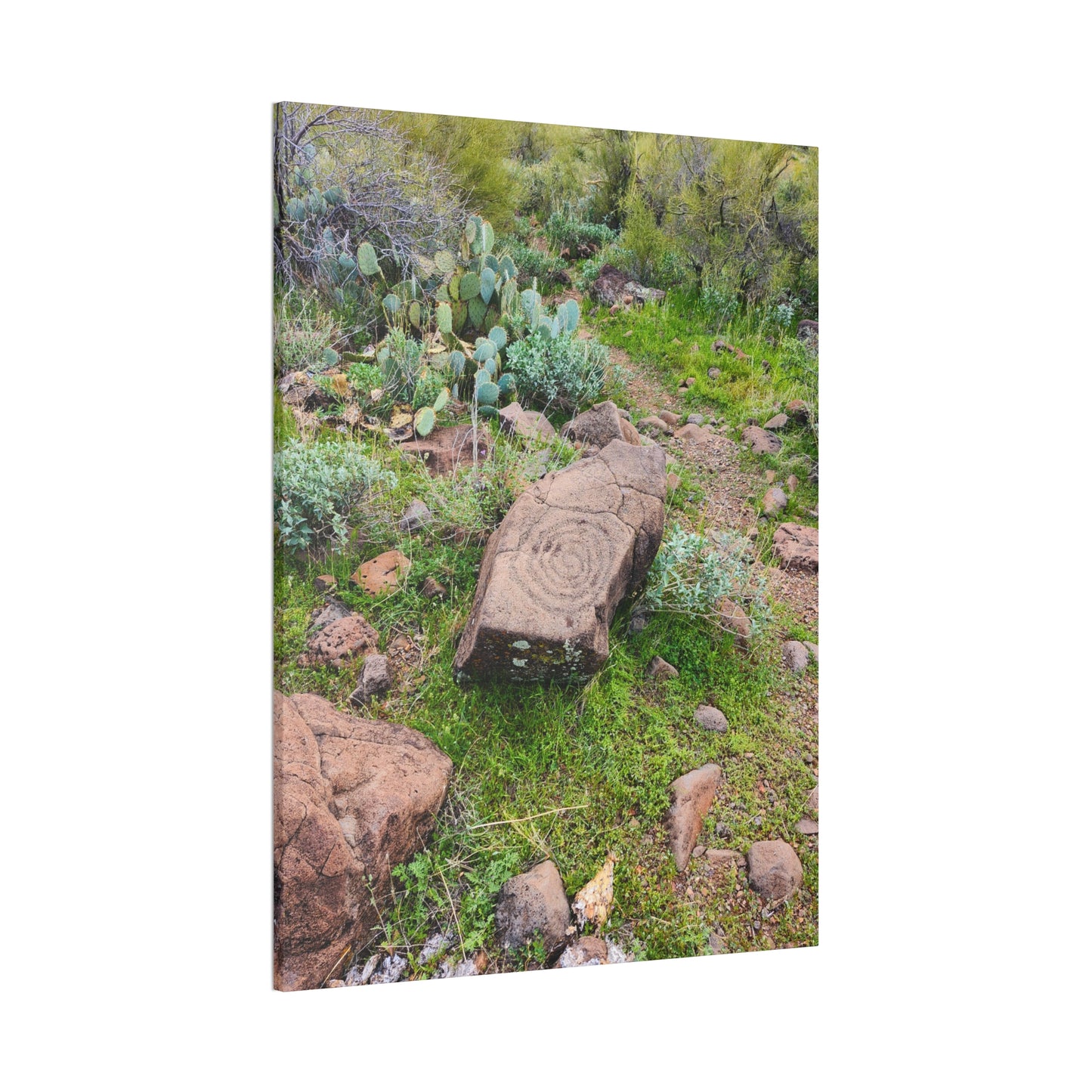 Petroglyphs of the Sonoran Desert; Arizona Photography, Wall Art, Natural Landscape Home Decor for Hikers and Nature Lovers!