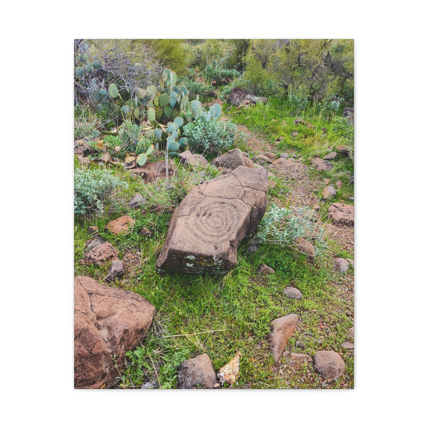 Petroglyphs of the Sonoran Desert; Arizona Photography, Wall Art, Natural Landscape Home Decor for Hikers and Nature Lovers!