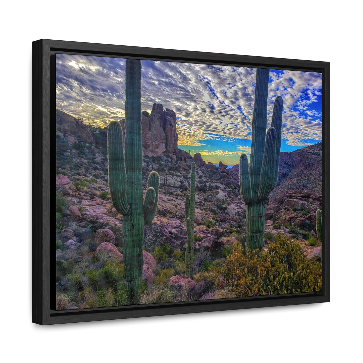 Framed Canvas Gallery Wraps: Mountaintop Saguaros; Arizona Photography, Wall Art, Natural Landscape Home Decor for Hikers and Nature Lovers!