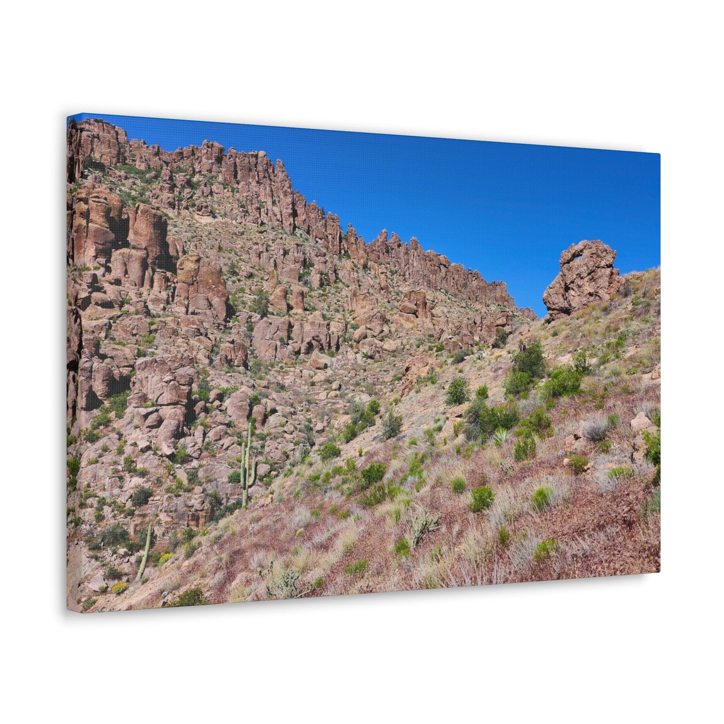 Beyond the Fremont Saddle (#2); Arizona Photography, Wall Art, Natural Landscape Home Decor for Hikers and Nature Lovers!