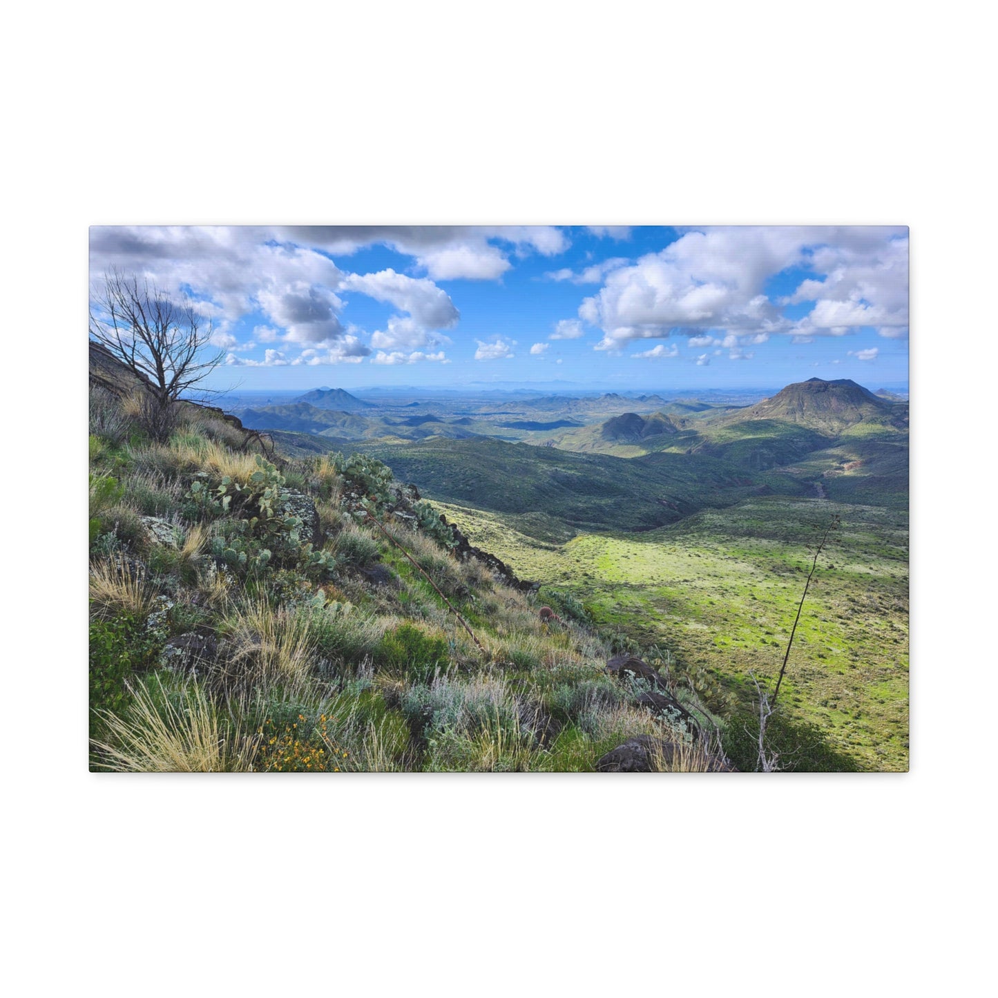 A Gorgeous View from Skull Mesa; Arizona Photography, Wall Art, Natural Landscape Home Decor for Hikers and Nature Lovers!