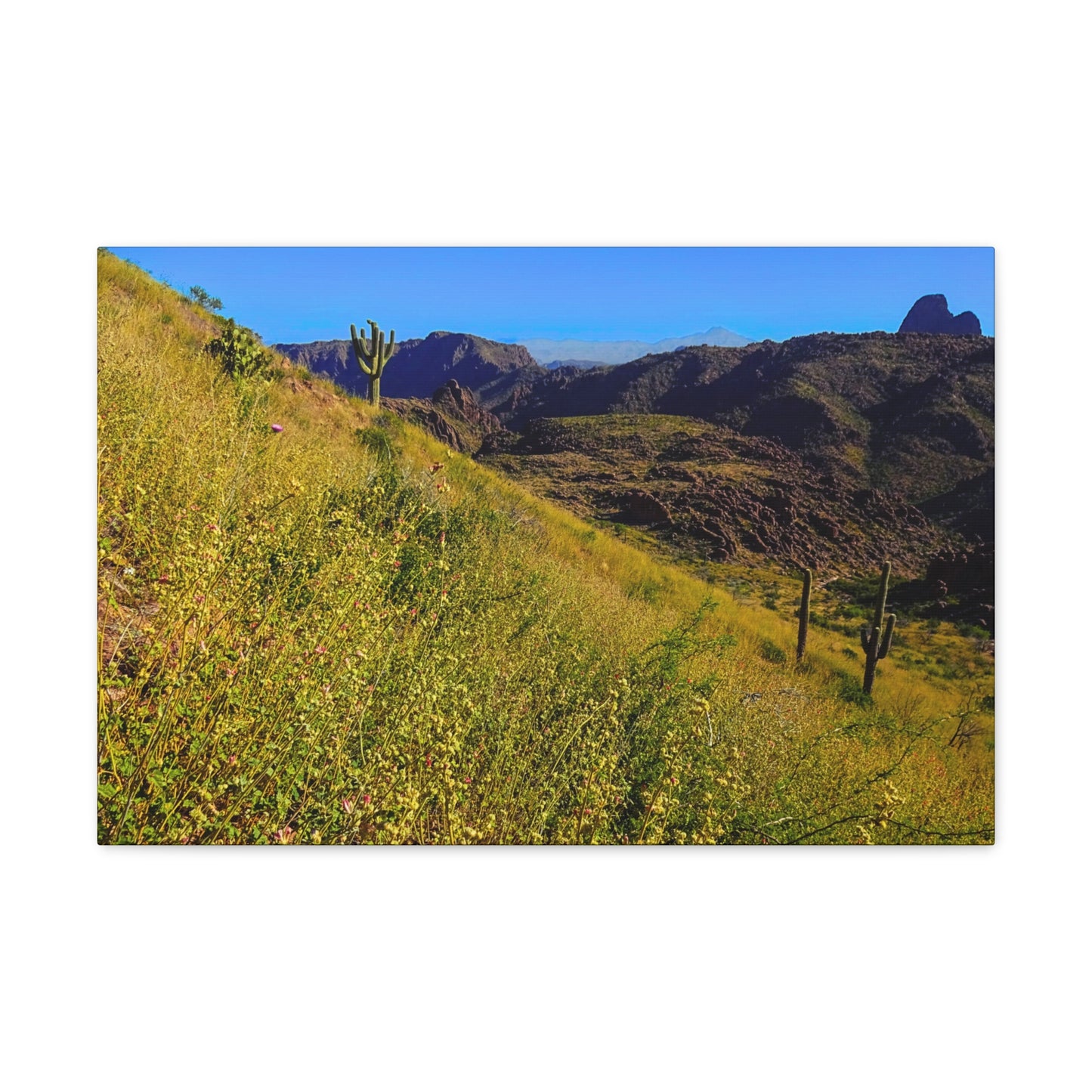 Canvas Gallery Wrap: Three Sisters Summit; Arizona Photography, Wall Art, Natural Landscape Home Decor for Hikers and Nature Lovers!