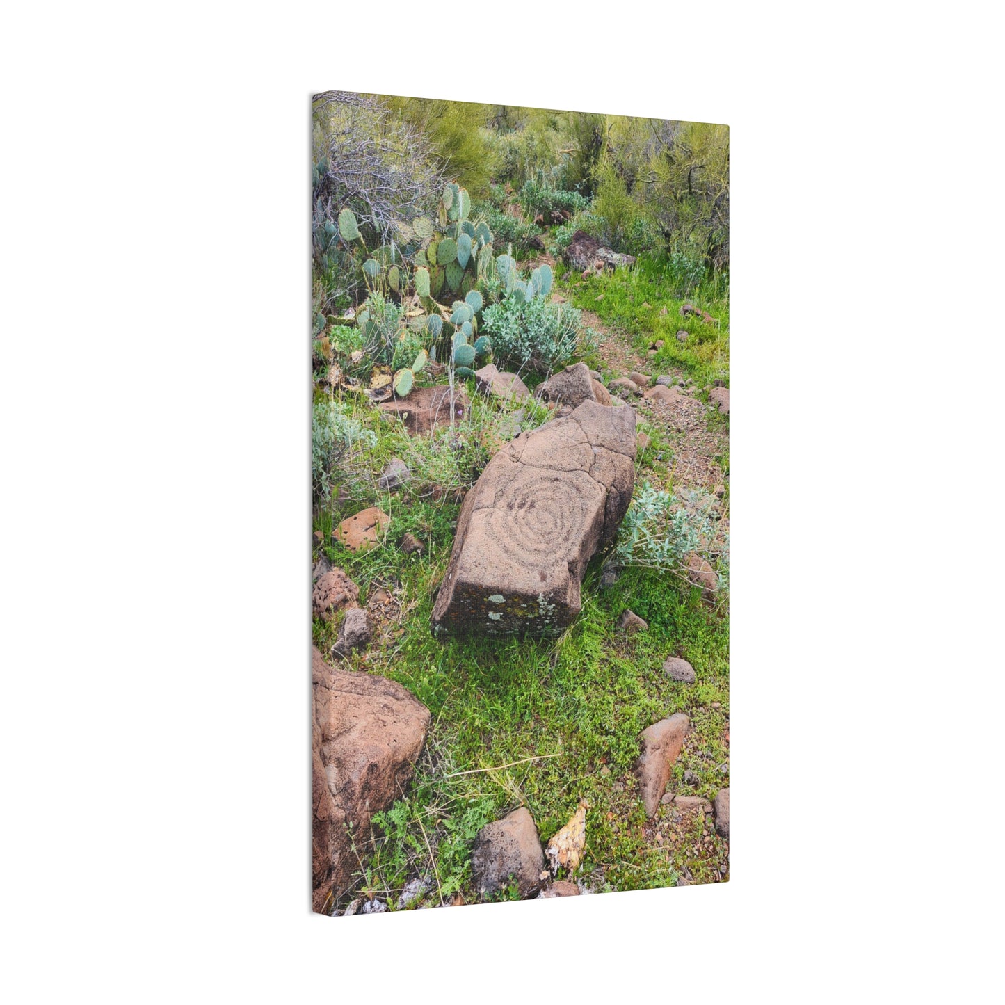 Petroglyphs of the Sonoran Desert; Arizona Photography, Wall Art, Natural Landscape Home Decor for Hikers and Nature Lovers!