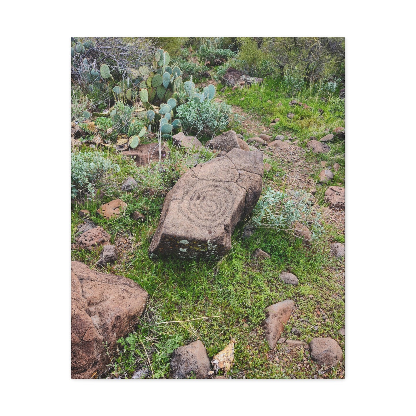 Petroglyphs of the Sonoran Desert; Arizona Photography, Wall Art, Natural Landscape Home Decor for Hikers and Nature Lovers!