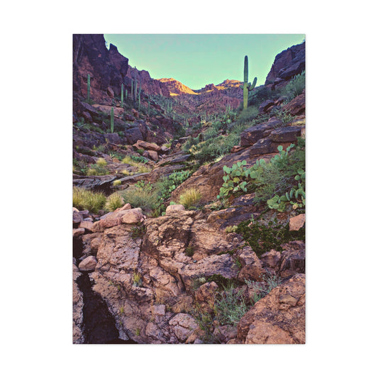 Canvas Gallery Wraps: A View Up the Canyon; Arizona Photography, Wall Art, Natural Landscape Home Decor for Hikers and Nature Lovers!