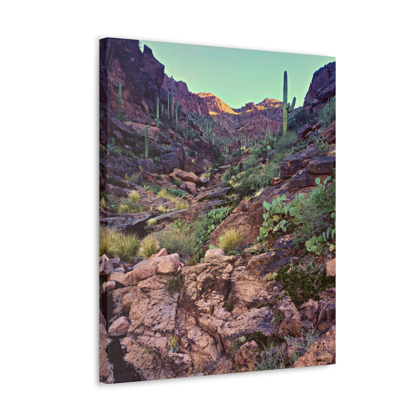 Canvas Gallery Wraps: A View Up the Canyon; Arizona Photography, Wall Art, Natural Landscape Home Decor for Hikers and Nature Lovers!