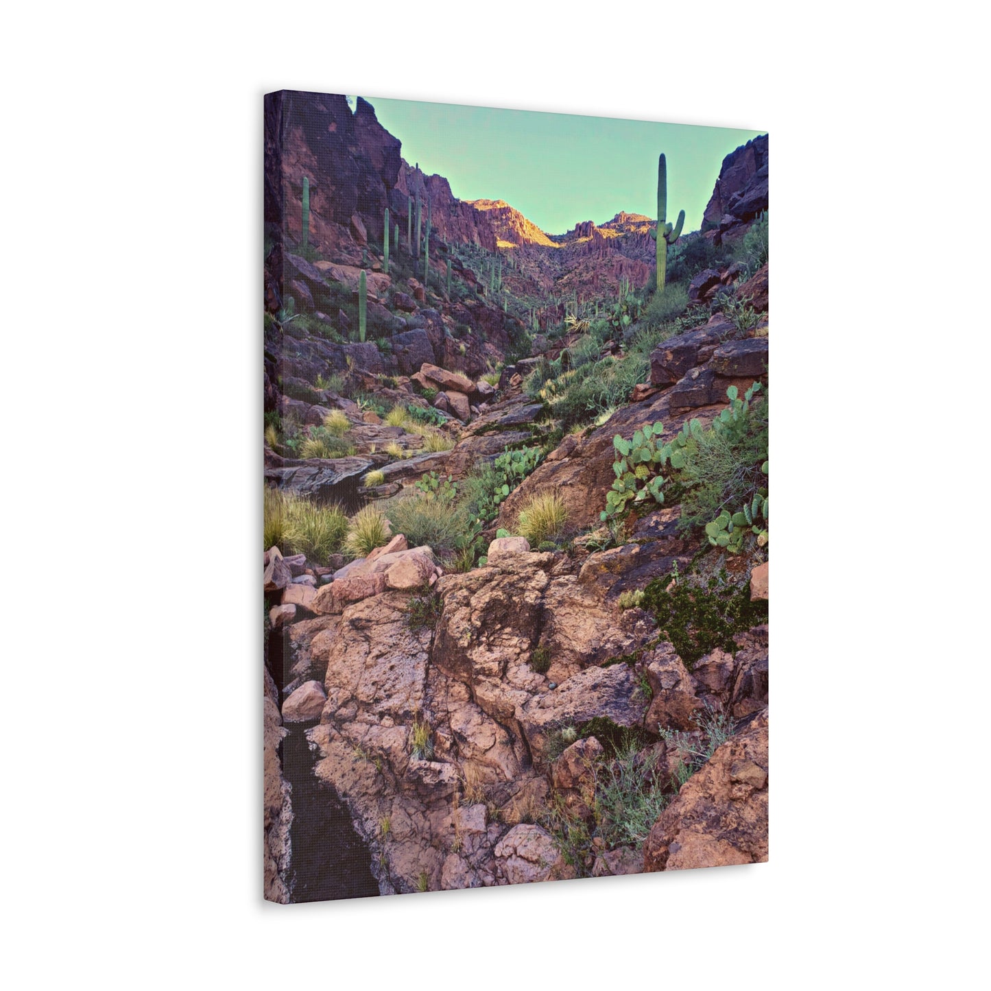 Canvas Gallery Wraps: A View Up the Canyon; Arizona Photography, Wall Art, Natural Landscape Home Decor for Hikers and Nature Lovers!