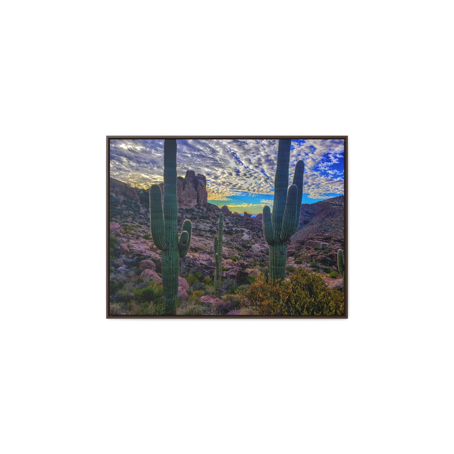 Framed Canvas Gallery Wraps: Mountaintop Saguaros; Arizona Photography, Wall Art, Natural Landscape Home Decor for Hikers and Nature Lovers!