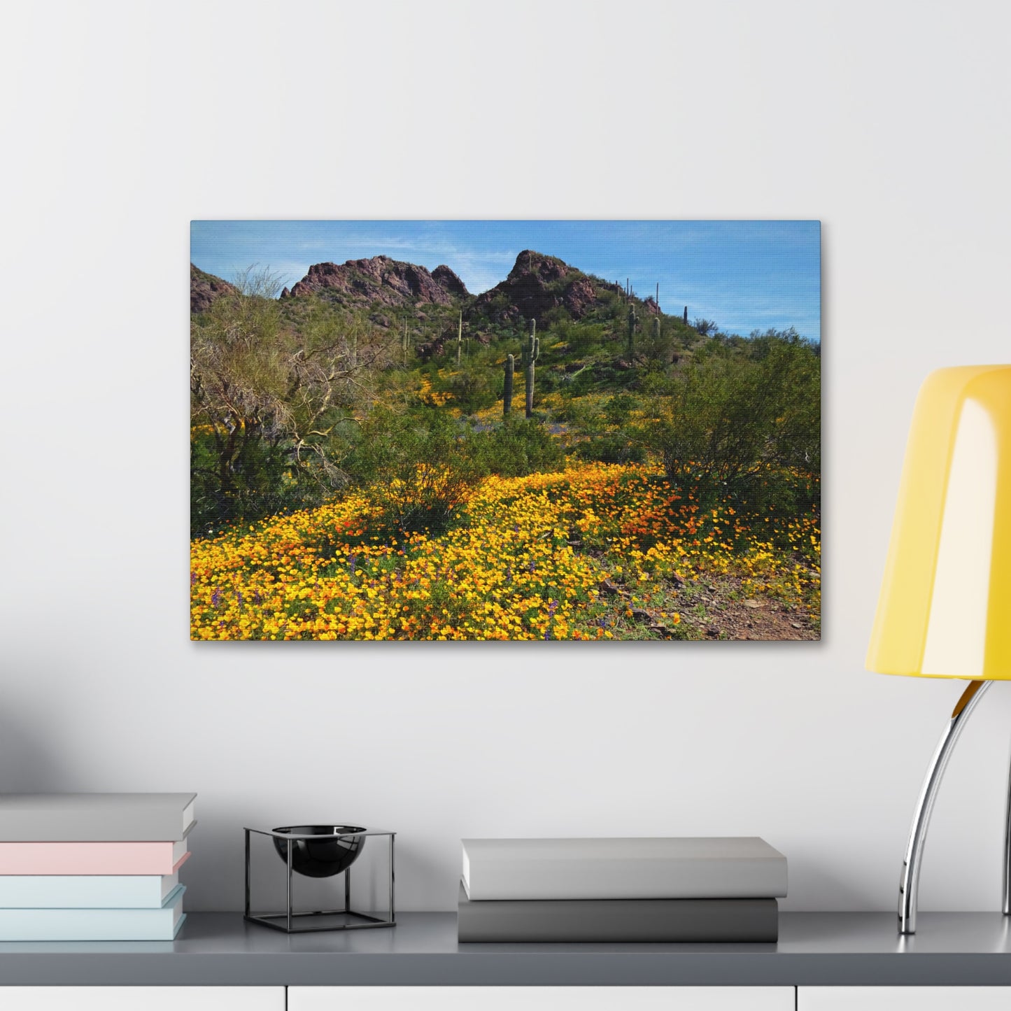 Canvas Gallery Wraps: Desert Wildflowers; Arizona Photography, Wall Art, Natural Landscape Home Decor for Hikers and Nature Lovers!