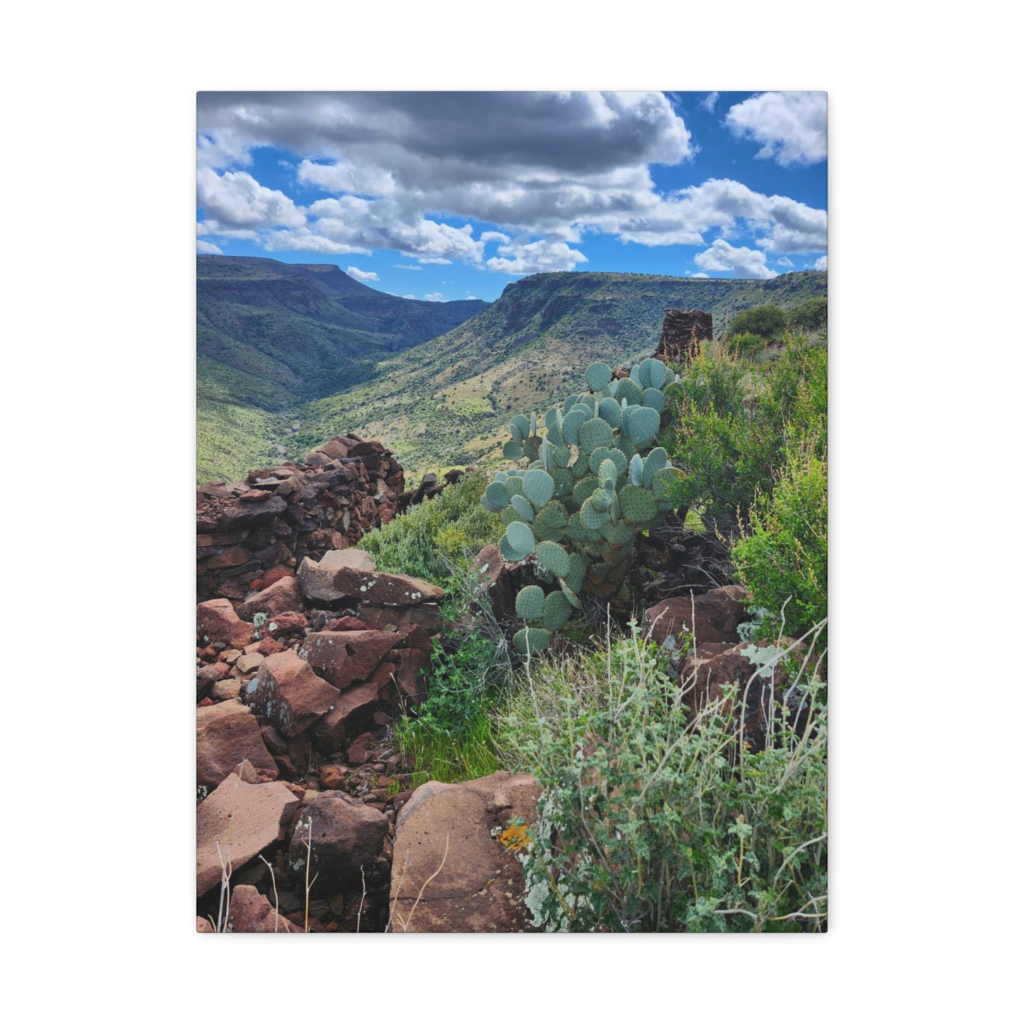 The Ruins of Skull Mesa (#7); Arizona Photography, Wall Art, Natural Landscape Home Decor for Hikers and Nature Lovers!