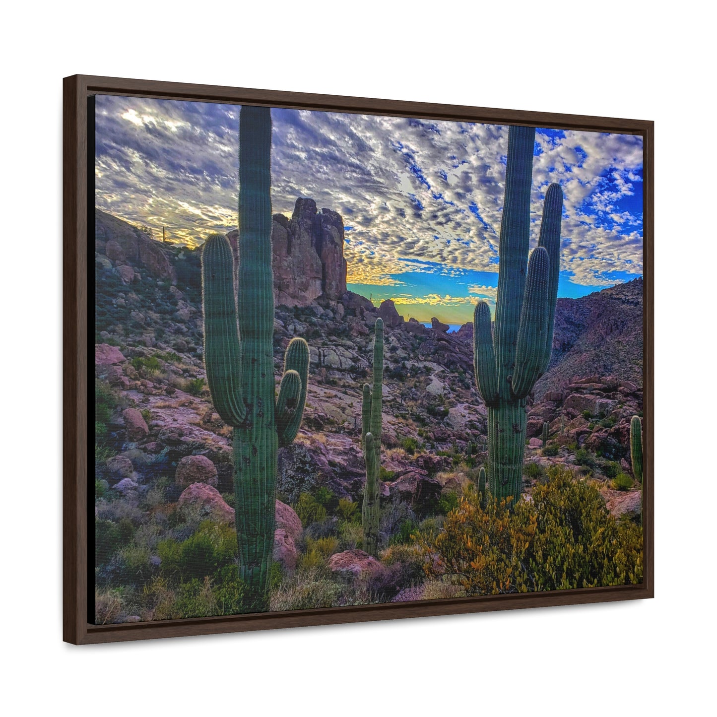 Framed Canvas Gallery Wraps: Mountaintop Saguaros; Arizona Photography, Wall Art, Natural Landscape Home Decor for Hikers and Nature Lovers!