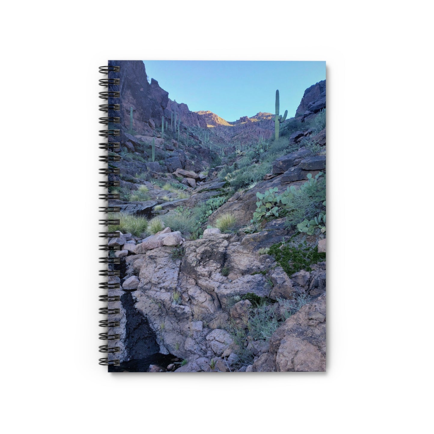 Spiral Notebook: A View Up the Canyon; A Writing Journal to Log Your Travels and Adventures, for Hikers and Nature Lovers!