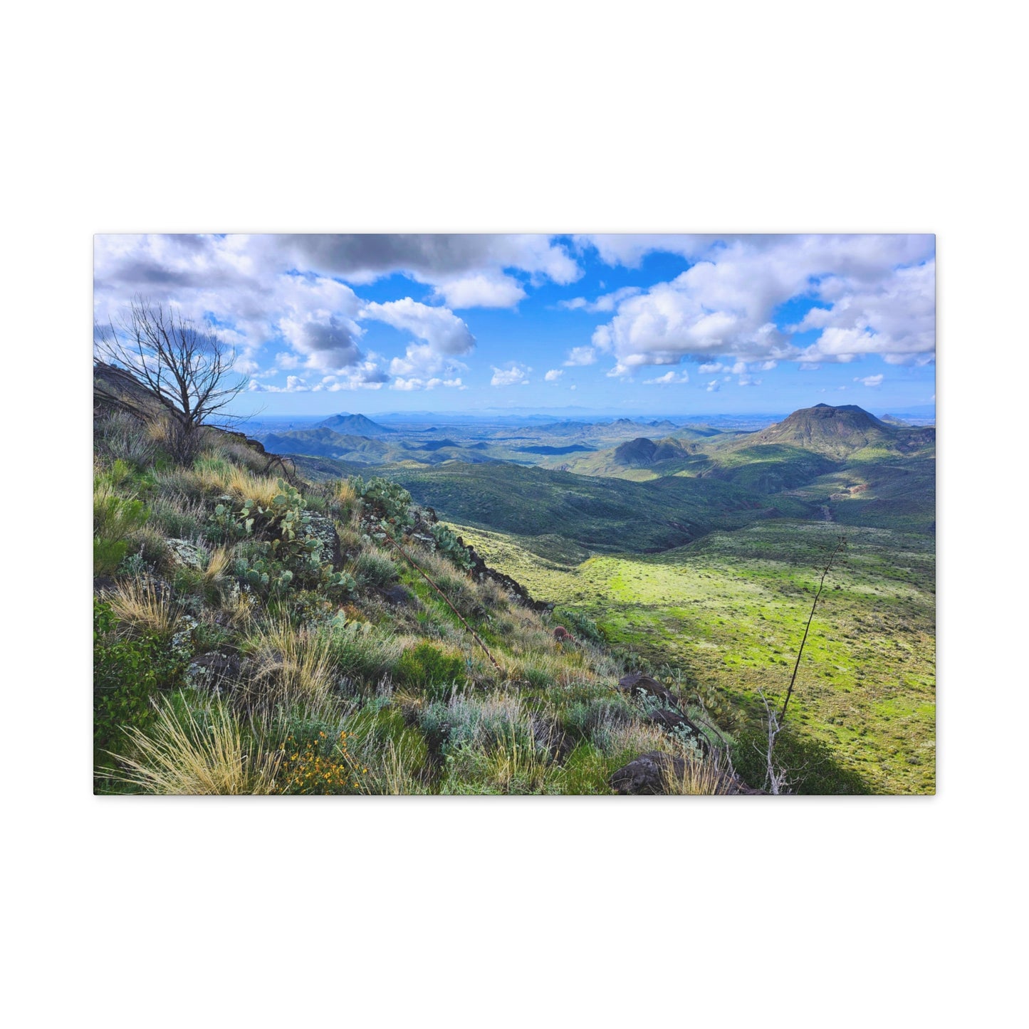 A Gorgeous View from Skull Mesa; Arizona Photography, Wall Art, Natural Landscape Home Decor for Hikers and Nature Lovers!