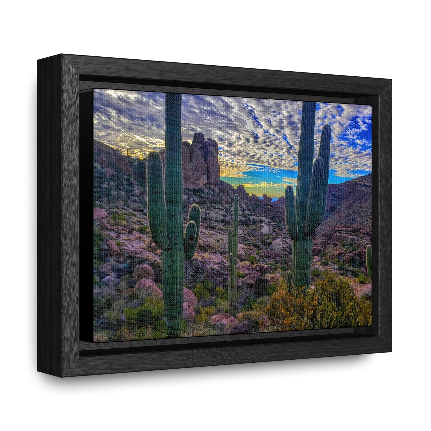 Framed Canvas Gallery Wraps: Mountaintop Saguaros; Arizona Photography, Wall Art, Natural Landscape Home Decor for Hikers and Nature Lovers!