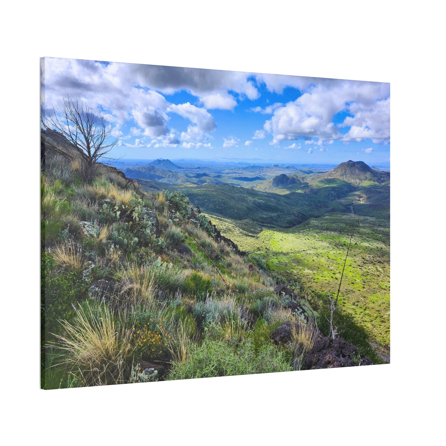 A Gorgeous View from Skull Mesa; Arizona Photography, Wall Art, Natural Landscape Home Decor for Hikers and Nature Lovers!