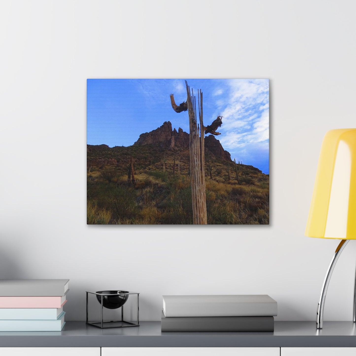Canvas Gallery Wrap: Saguaro Skeleton; Arizona Photography, Wall Art, Natural Landscape Home Decor for Hikers and Nature Lovers!