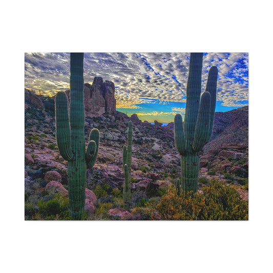 Canvas Gallery Wraps: Mountaintop Saguaros; Arizona Photography, Wall Art, Natural Landscape Home Decor for Hikers and Nature Lovers!