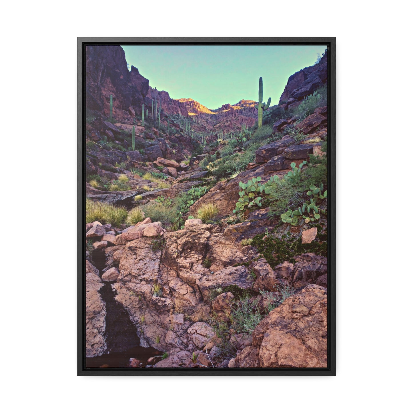 Framed Canvas Gallery Wraps: A View Up the Canyon; Arizona Photography, Wall Art, Natural Landscape Home Decor for Hikers and Nature Lovers!