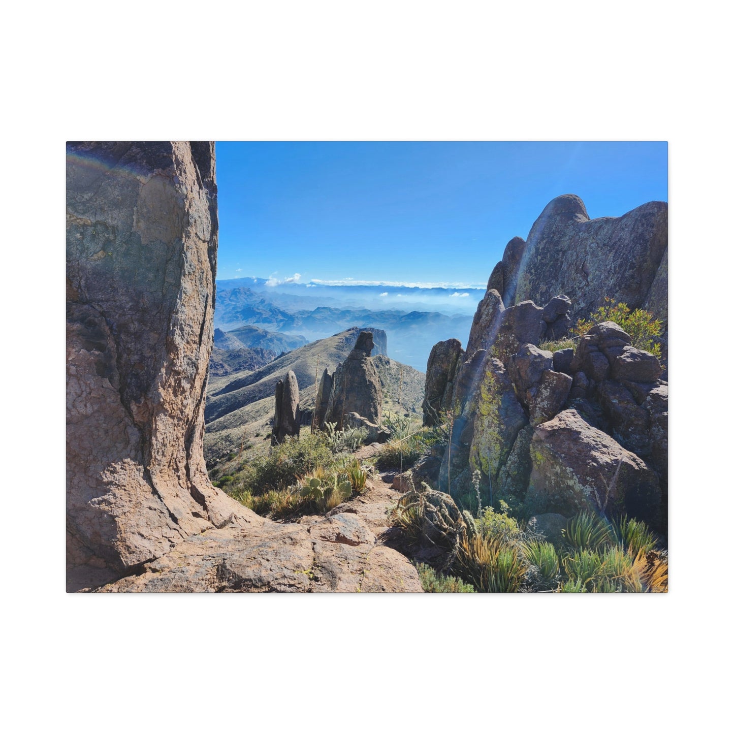 Amongst Giants in the Superstition Mountains; Arizona Photography, Wall Art, Natural Landscape Home Decor for Hikers and Nature Lovers!