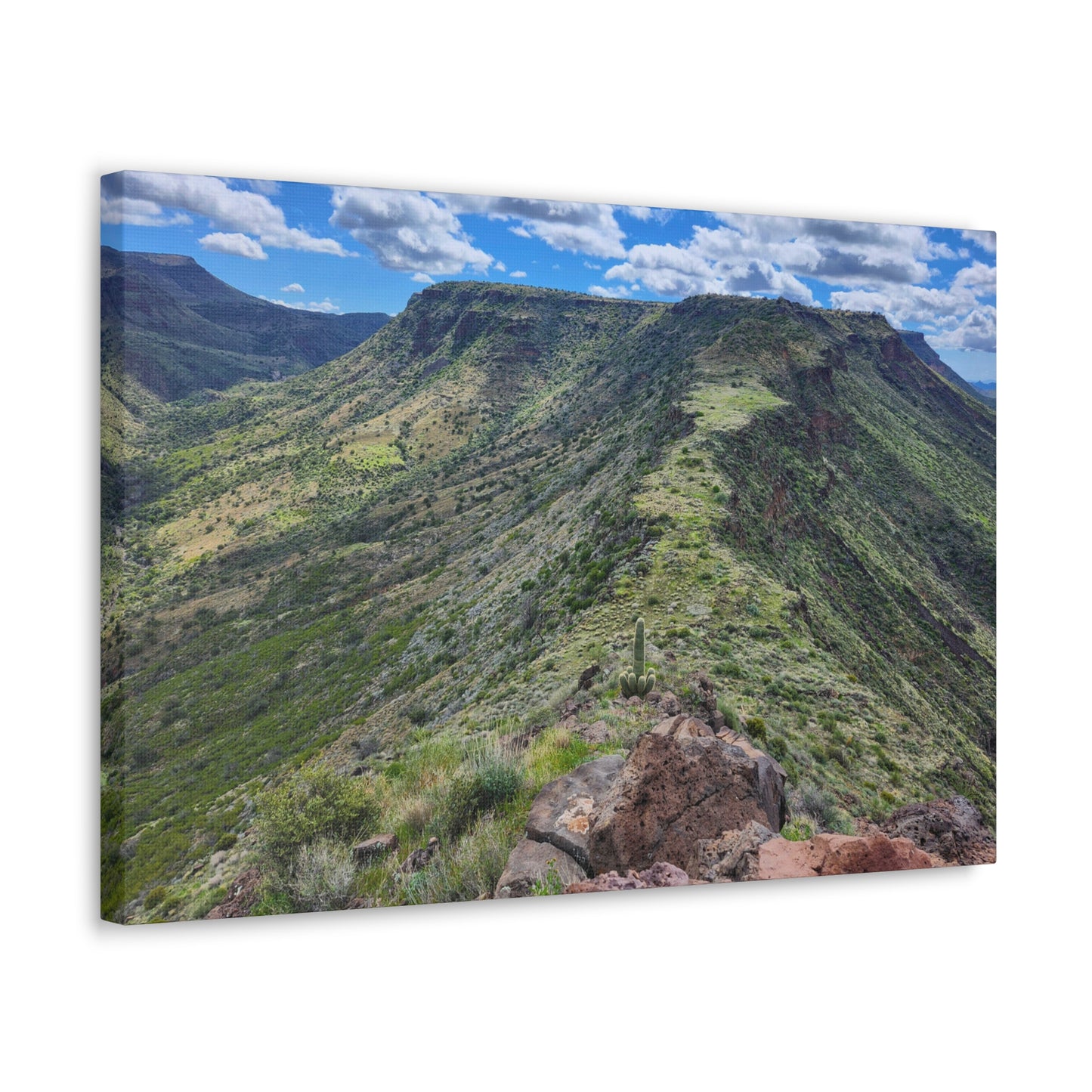 Looking Back at Skull Mesa; Arizona Photography, Wall Art, Natural Landscape Home Decor for Hikers and Nature Lovers!