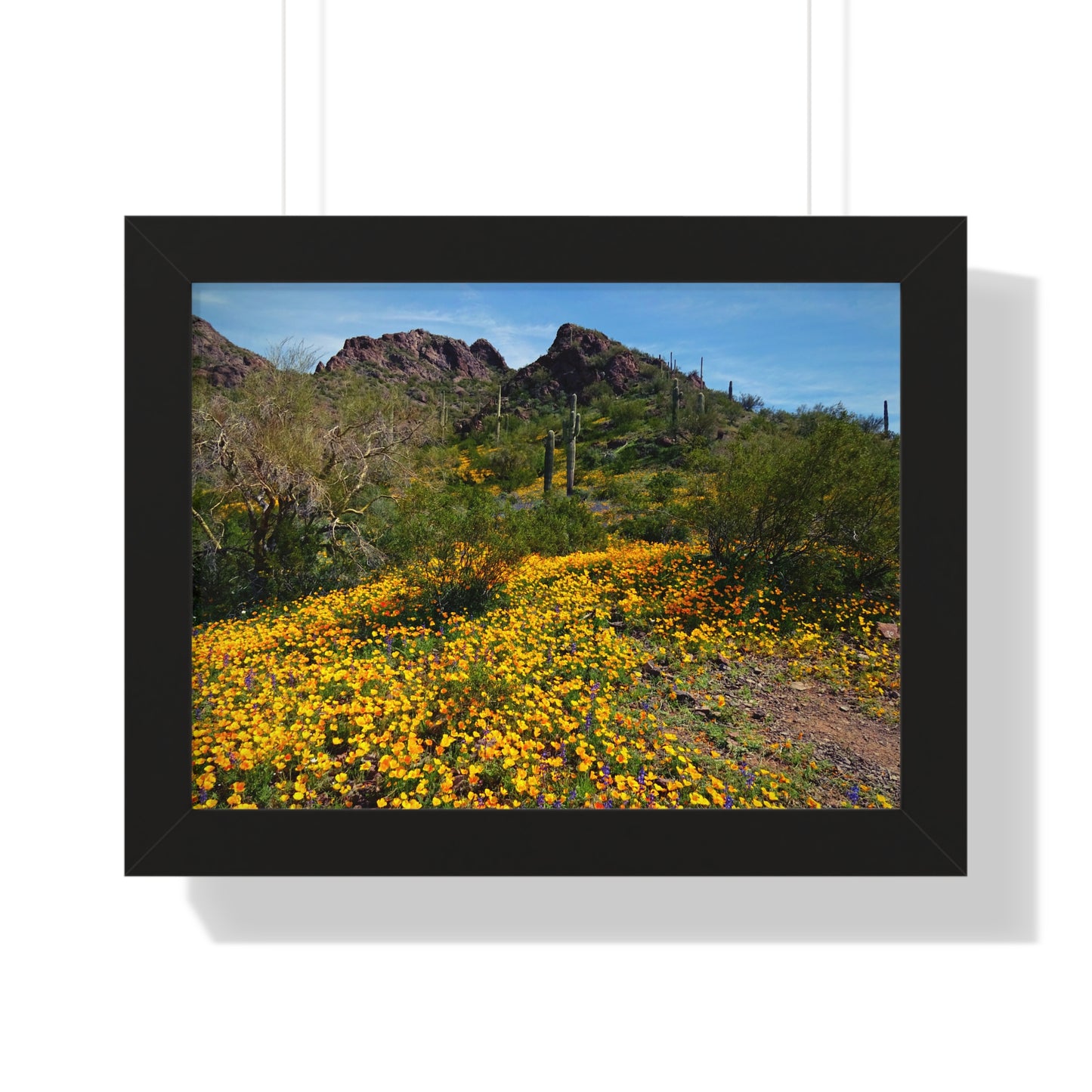 Framed Desert Photography: Desert Wildflowers; Arizona Photography, Wall Art, Natural Landscape Home Decor for Hikers and Nature Lovers!