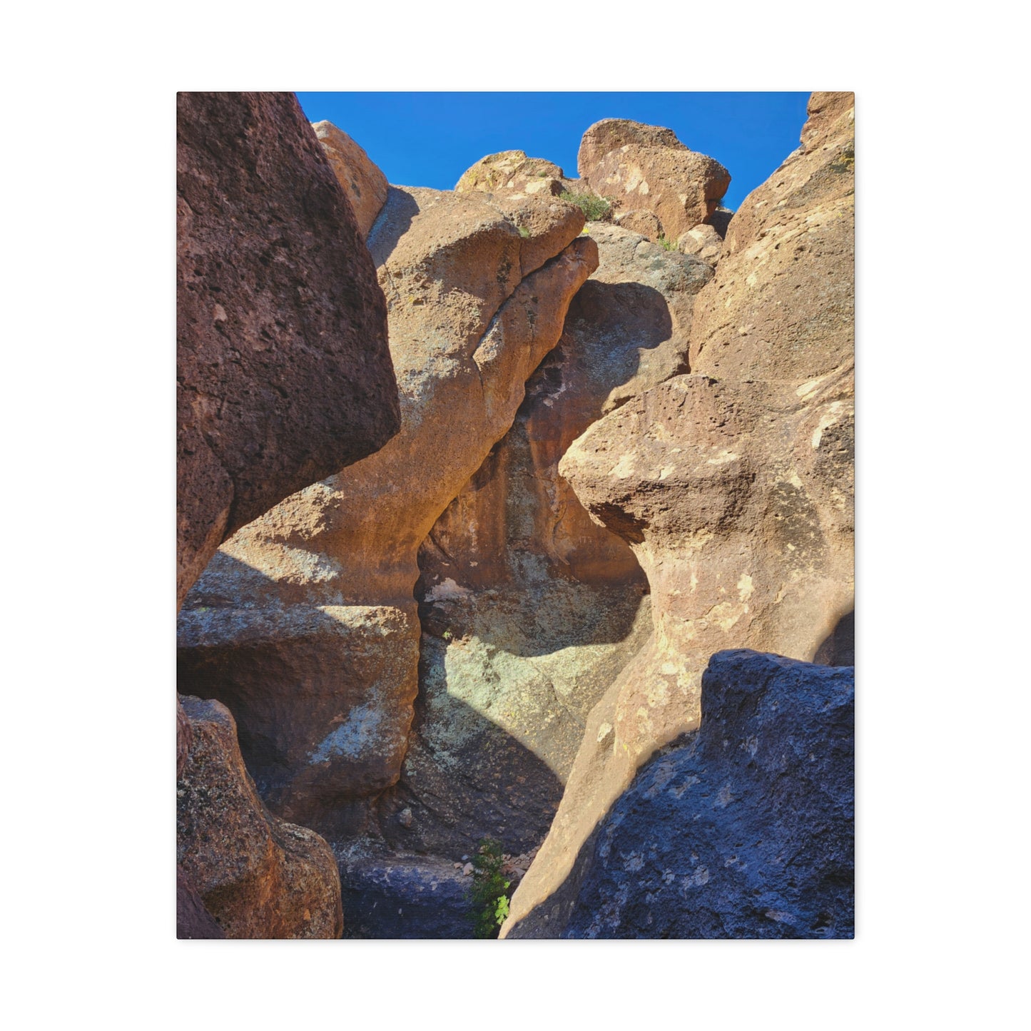 Dinosaurs in Stone; Arizona Photography, Wall Art, Natural Landscape Home Decor for Hikers and Nature Lovers!