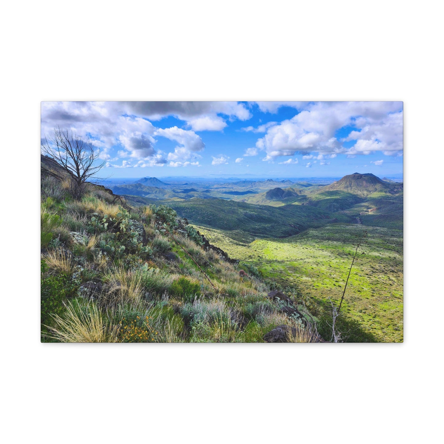 A Gorgeous View from Skull Mesa; Arizona Photography, Wall Art, Natural Landscape Home Decor for Hikers and Nature Lovers!