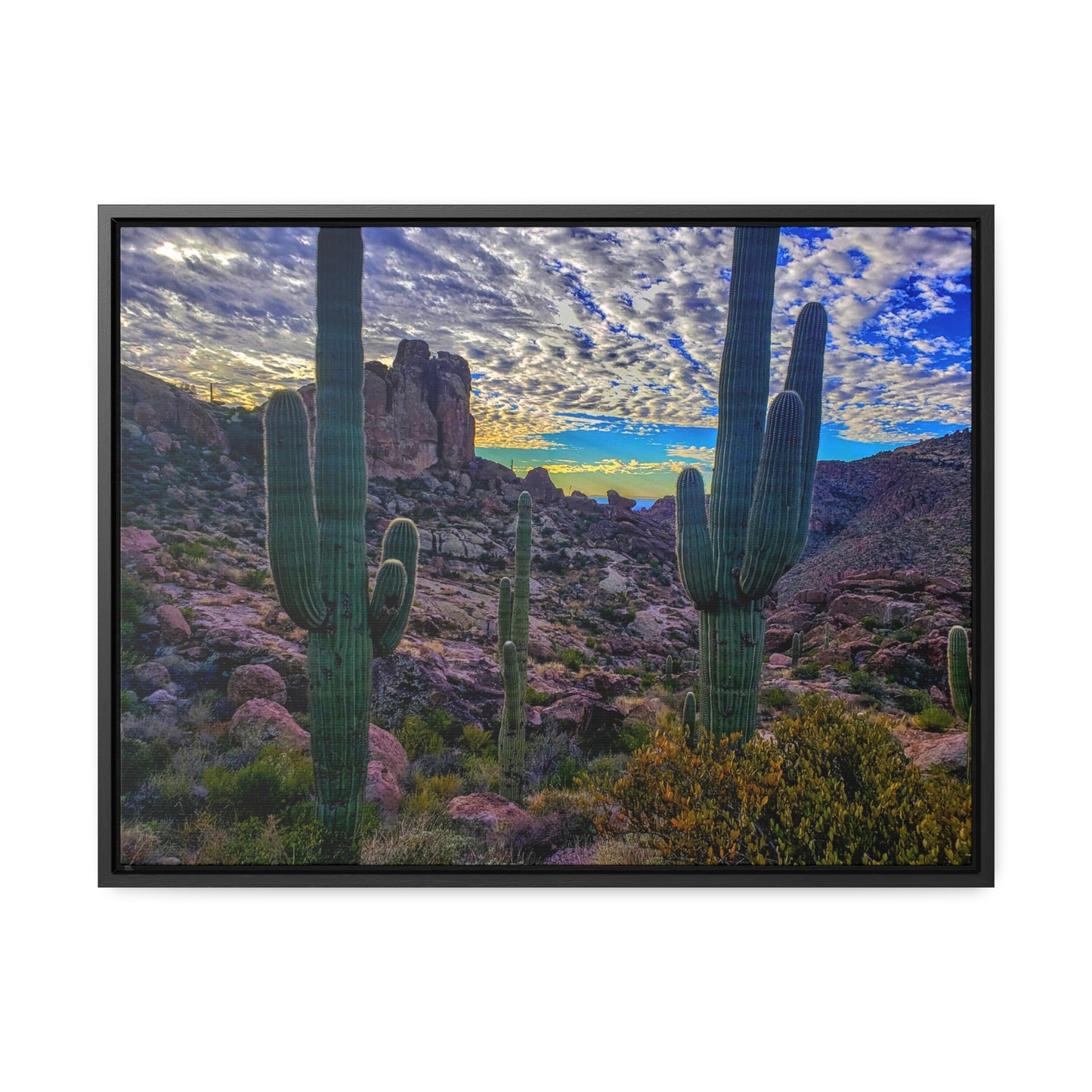 Framed Canvas Gallery Wraps: Mountaintop Saguaros; Arizona Photography, Wall Art, Natural Landscape Home Decor for Hikers and Nature Lovers!