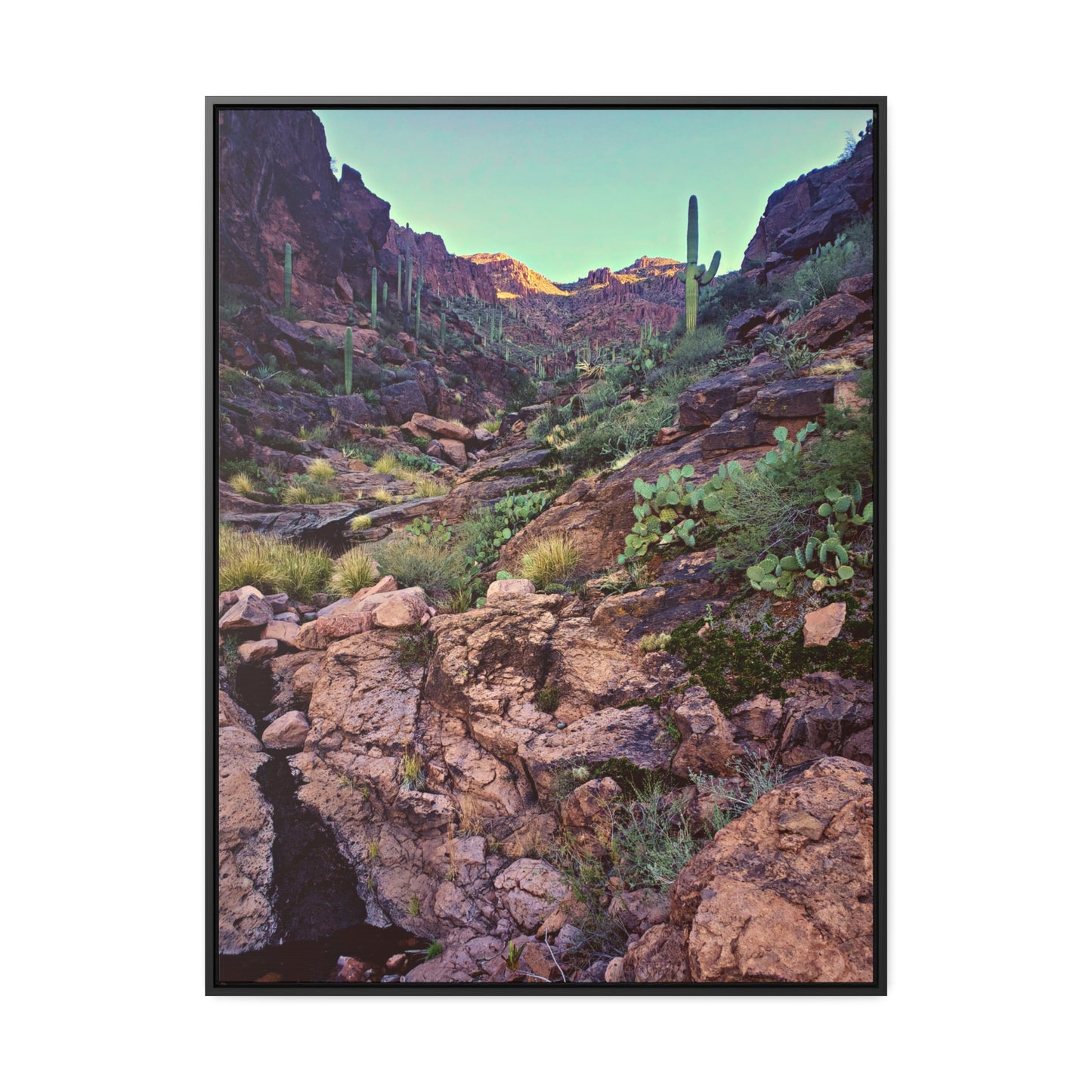 Framed Canvas Gallery Wraps: A View Up the Canyon; Arizona Photography, Wall Art, Natural Landscape Home Decor for Hikers and Nature Lovers!