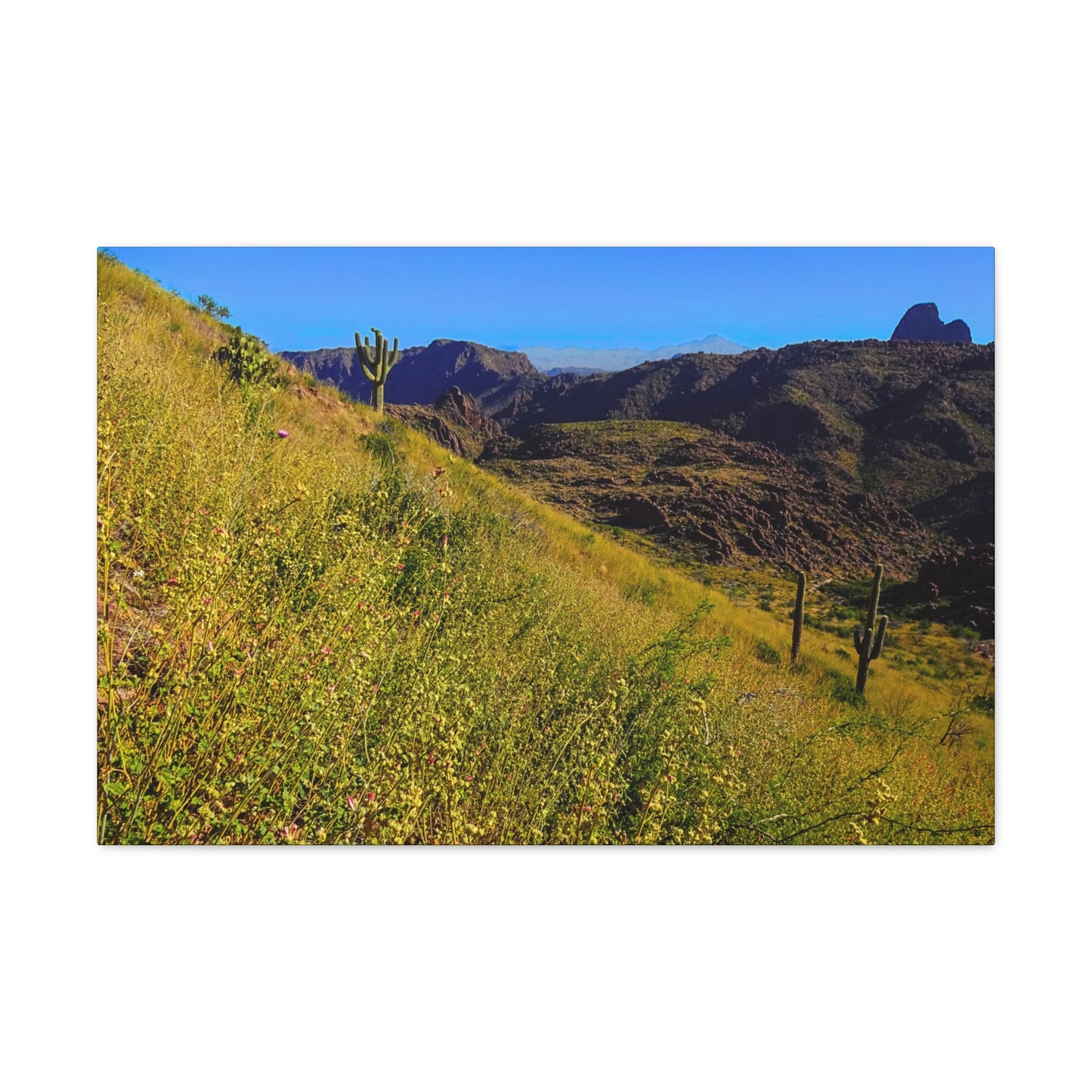 Canvas Gallery Wrap: Three Sisters Summit; Arizona Photography, Wall Art, Natural Landscape Home Decor for Hikers and Nature Lovers!