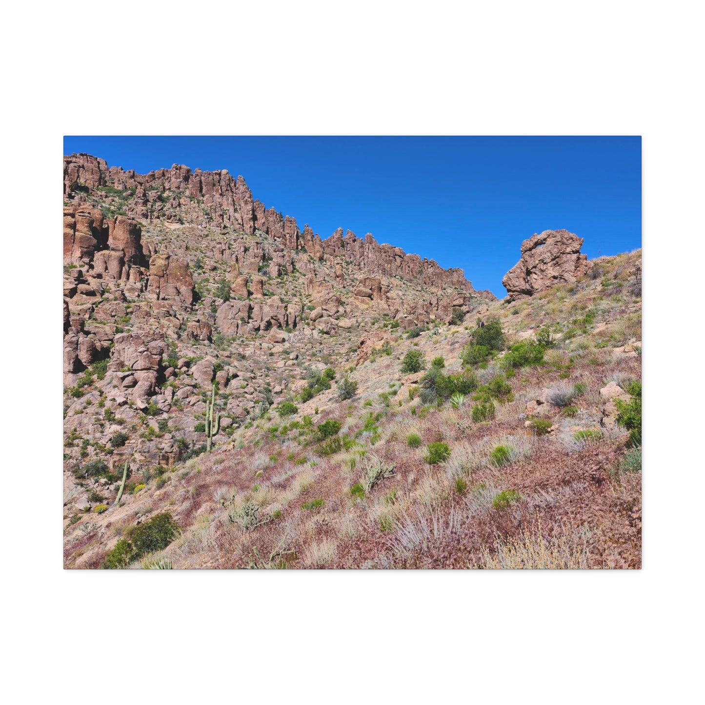 Beyond the Fremont Saddle (#2); Arizona Photography, Wall Art, Natural Landscape Home Decor for Hikers and Nature Lovers!