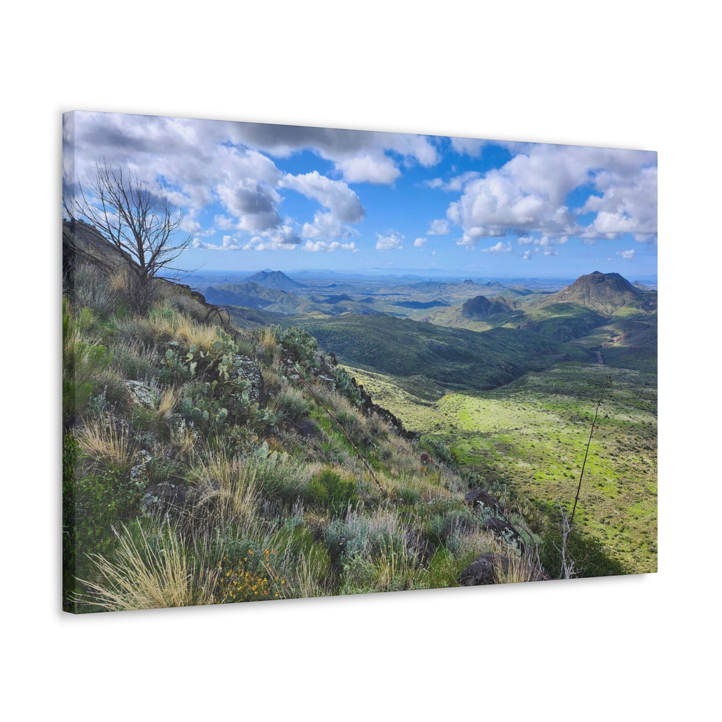 A Gorgeous View from Skull Mesa; Arizona Photography, Wall Art, Natural Landscape Home Decor for Hikers and Nature Lovers!