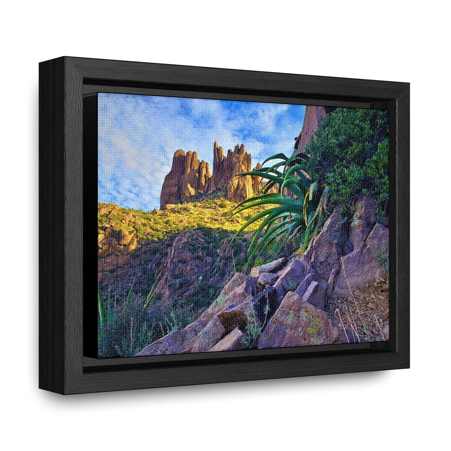 Framed Canvas Print: Succulents and Spires; Arizona Photography, Wall Art, Natural Landscape Home Decor for Hikers and Nature Lovers!