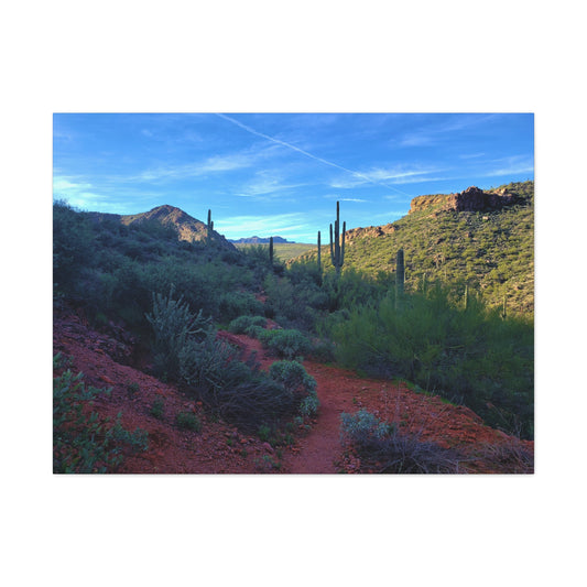 Canvas Gallery Wraps: The Vibrant Desert; Arizona Photography, Wall Art, Natural Landscape Home Decor for Hikers and Nature Lovers!